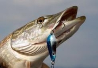 В помощь ЛЧИ 2013 - фьючерс на индекс РТС (RIZ3) на 7 октября