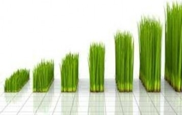 Американский рынок предоставляет инвестору колоссальные возможности для заработка